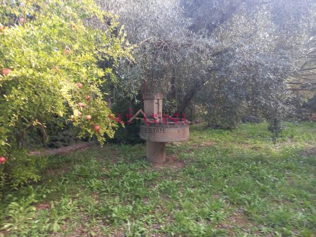 Casa in vendita a Cupi, Magliano in Toscana