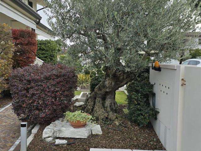 Casa in vendita a Zero Branco, Veneto