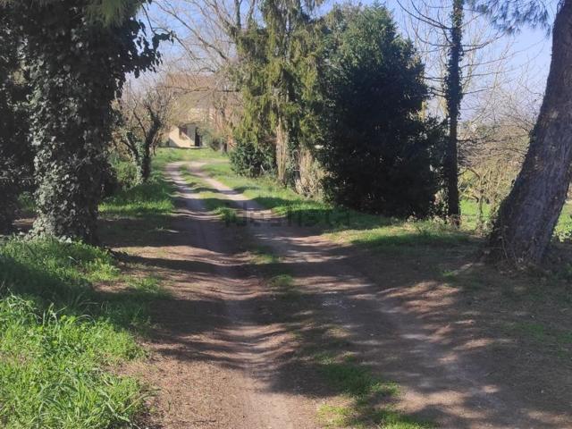 Casa in vendita a Conventello, Ravenna