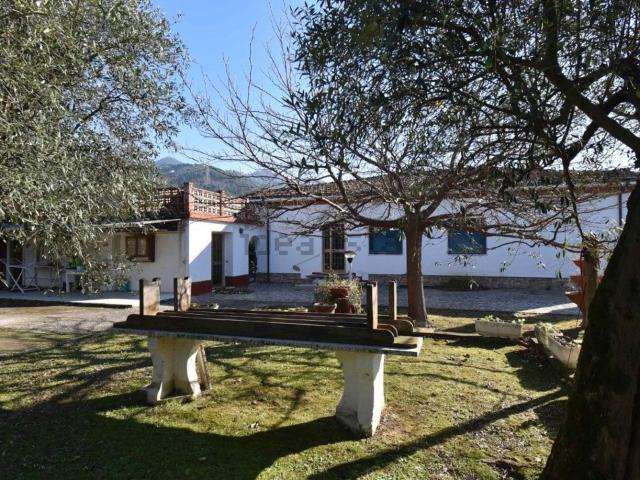 Casa in vendita a Ripa, Seravezza