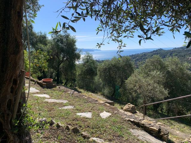 Casa in vendita a San Lorenzo della Costa, San Lorenzo Della Costa
