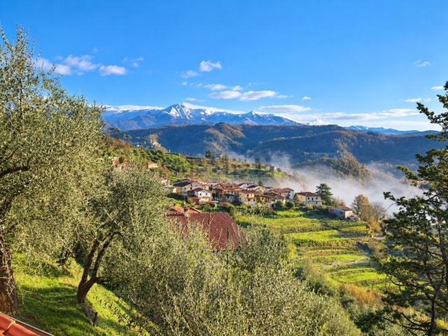 Casa in vendita a San Terenzo Monti, Fivizzano