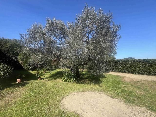 Casa in vendita a Casone, Bolgheri