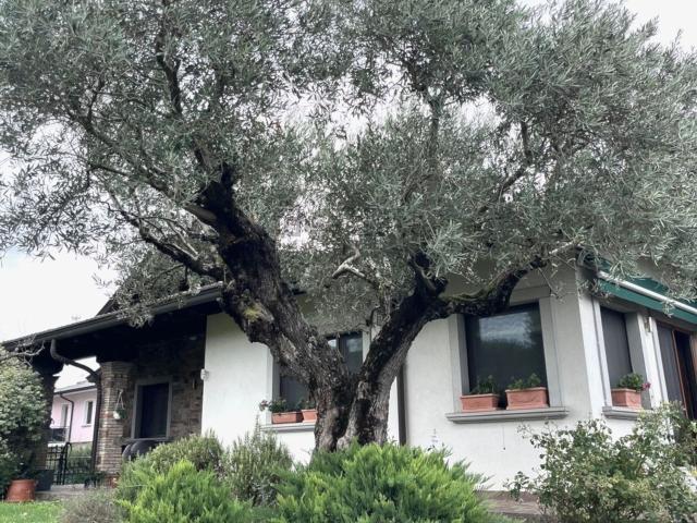 Casa in vendita a Staranzano, Friuli-Venezia Giulia