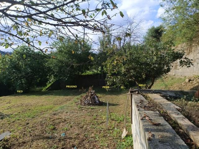 Casa in vendita a Mallare, Liguria