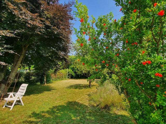 Casa in vendita a Mogliano Veneto, Veneto