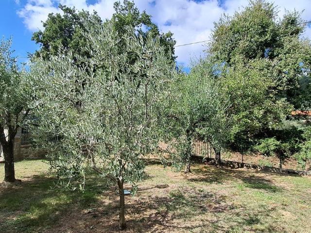 Casa in vendita a Il Palagio, Vaiano