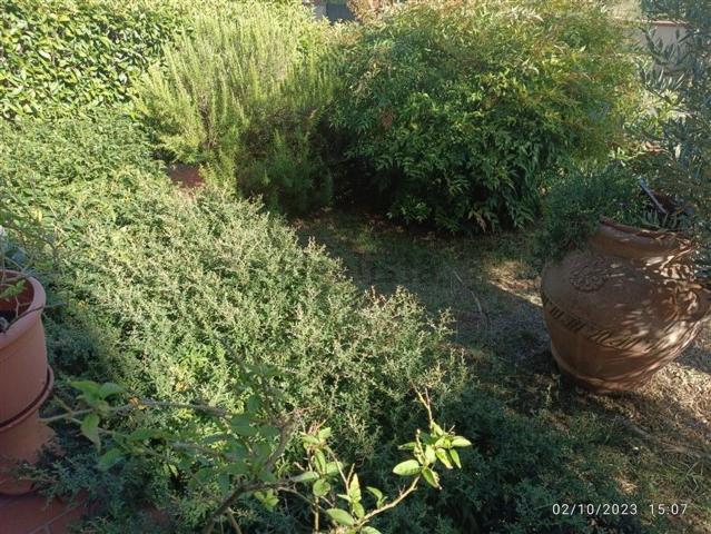 Casa in vendita a Poggetto, Poggio A Caiano