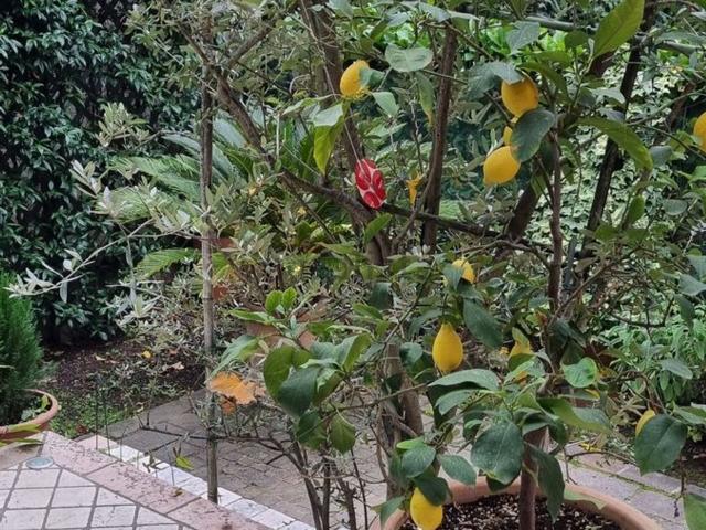 Casa in vendita a Venezia