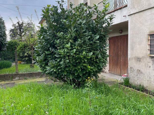 Casa in vendita a Unione dei comuni della Bassa Romagna, Massa Lombarda
