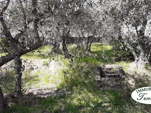 Casa in vendita a Unione di comuni Montana Lunigiana, Fosdinovo
