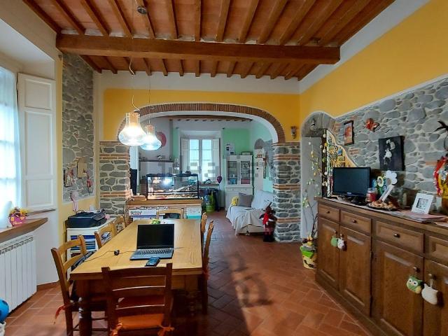 Casa in vendita a Unione dei comuni Media Valle del Serchio, Borgo A Mozzano