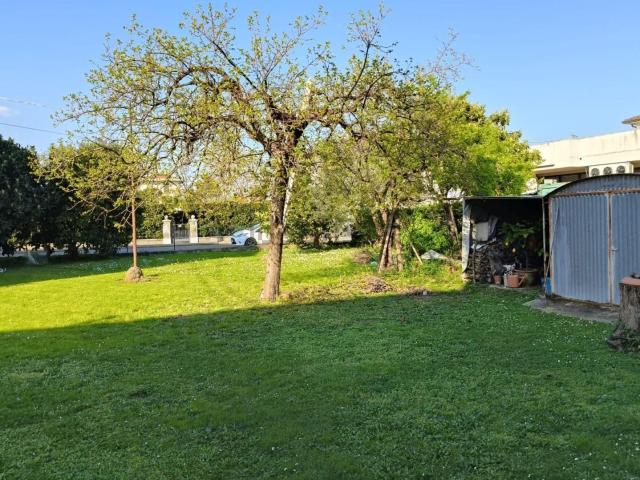 Casa in vendita a Migliarino Pisano, Vecchiano