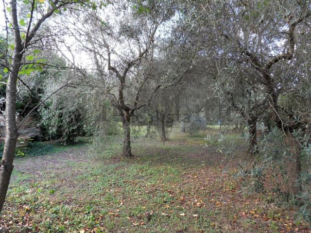 Casa in vendita a Farneta, Bagni Di Lucca Ponte