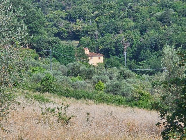 Casa in vendita a Unione di Comuni Valdarno e Valdisieve, Pelago