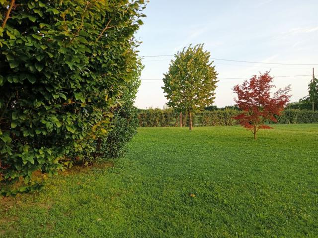 Casa in vendita a Breda Di Piave, Veneto