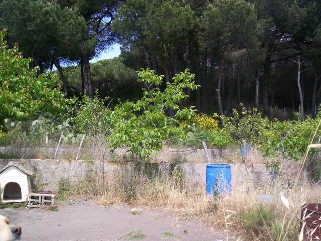 Casa in vendita a Camaldoli della Torre, Torre Del Greco