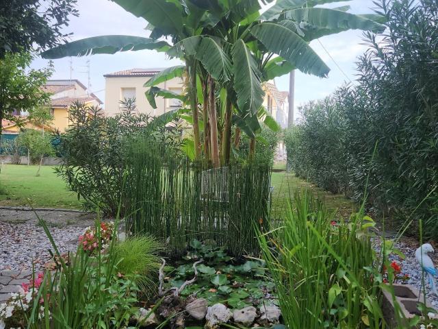 Casa in vendita a Caprara, Campegine