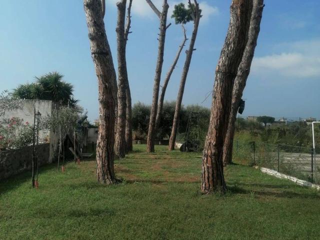 Casa in vendita a Boscotrecase, Campania