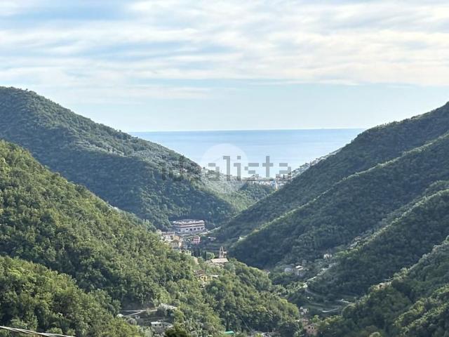 Casa in vendita a Avegno, Salto