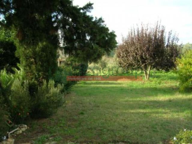 Casa in vendita a Bibbona, Livorno