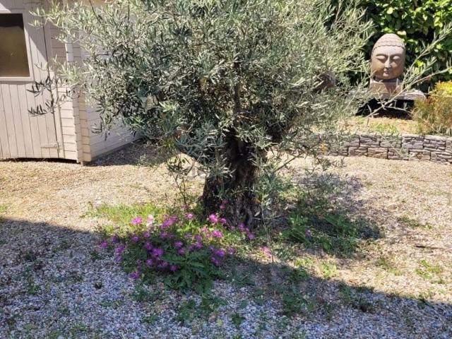 Casa in vendita a Tresinaro - Secchia, Re