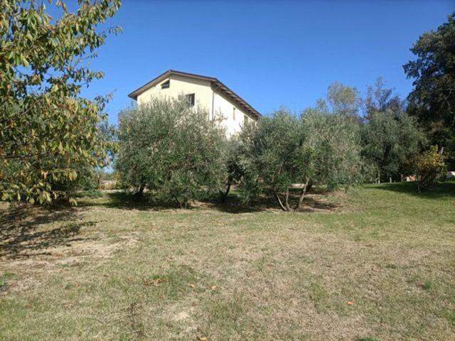 Casa in vendita a Trecastelli, Marche