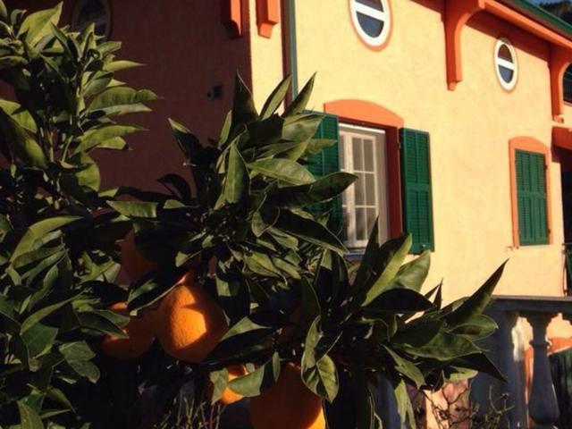 Casa in vendita a Madonna della Neve, Vallebona