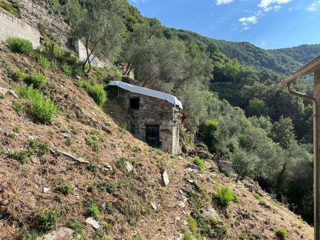 Casa in vendita a Carasco, Liguria
