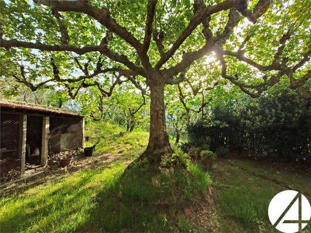 Casa in vendita a Larciano, Serravalle Pistoiese