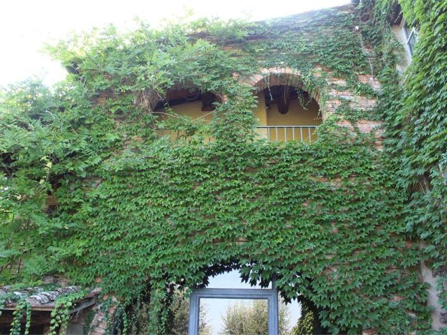 Casa in vendita a Santa Luce, Foiano Della Chiana