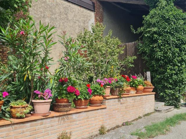 Casa in vendita a Santa Maria Della Versa, Lombardia