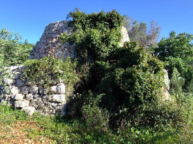 Casa in vendita a Posto Vecchio, Puglia