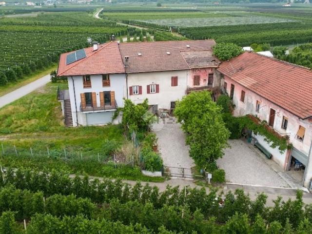 Casa in vendita a Comunità Rotaliana-Königsberg, Zambana