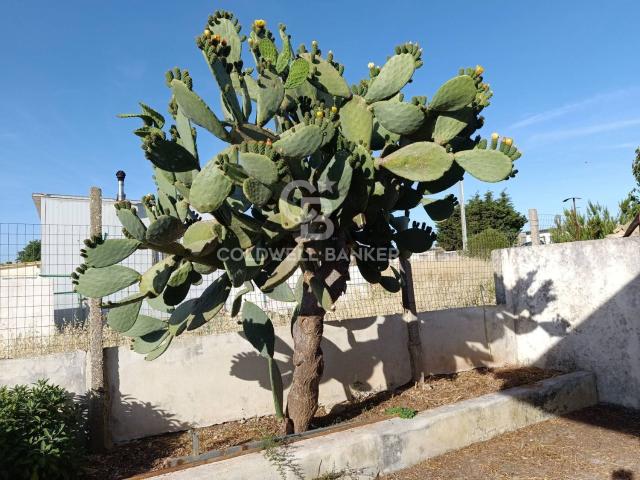 Casa in vendita a Poggio del Sole, Ragusa
