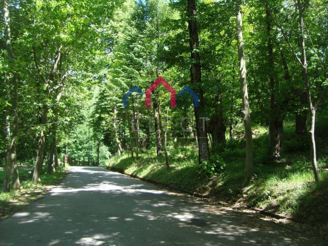 Casa in vendita a Unione dei comuni Media Valle del Serchio, Vico Pancellorum