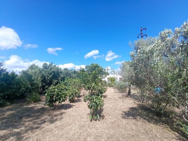 Casa in vendita a Su Tèrmini de Bàxiu, Selargius