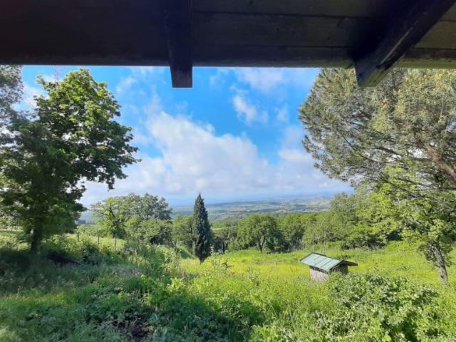 Villa Indipendente in vendita a Scansano, Toscana