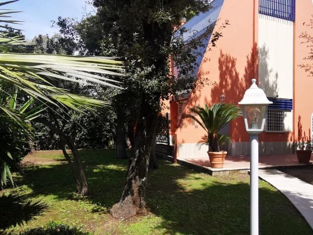 Casa in affitto a Fregene, Roma Capitale