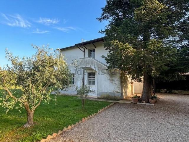 Casa in affitto a Capalbio, Toscana