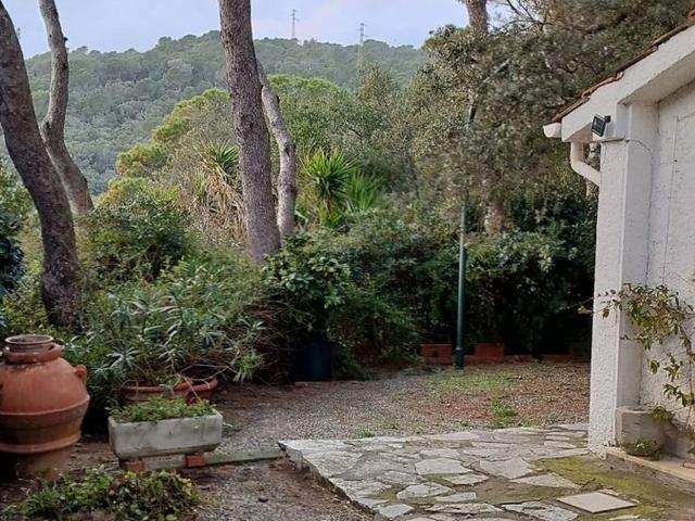Casa in affitto a Quercianella, Livorno