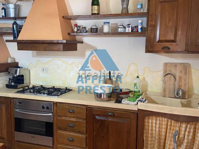 Casa in affitto a Unione dei Comuni Circondario dell'Empolese Valdelsa, Vinci