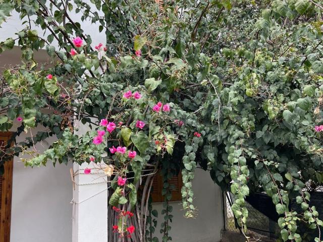 Casa in affitto a Calabria, Catanzaro