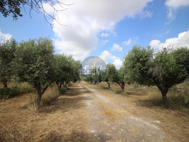 Casa in vendita a Puglia, Lecce