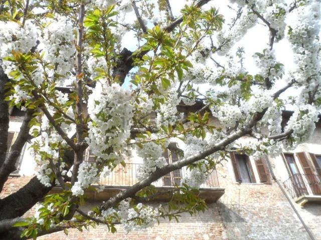 Casa in vendita a La Chiusa, Casteggio