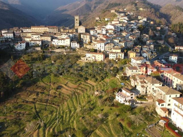 Casa in vendita a Unione dei comuni Media Valle del Serchio, Coreglia Antelminelli