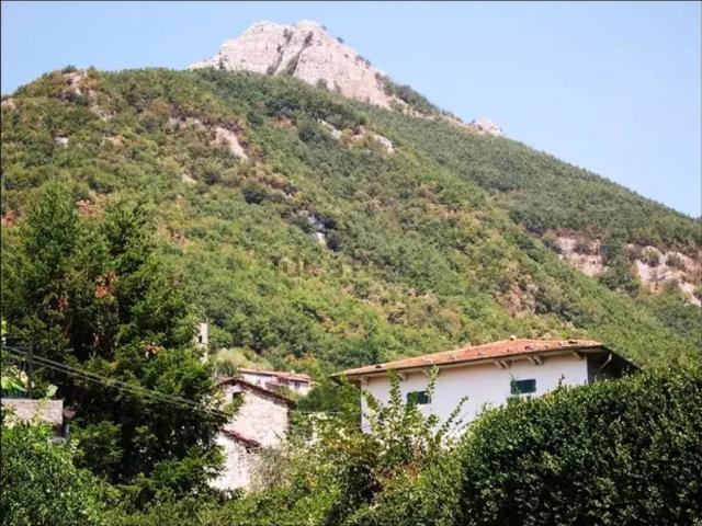 Casa in vendita a Unione dei comuni Media Valle del Serchio, Vico Pancellorum