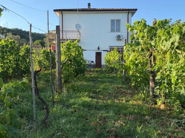 Casa in vendita a Isola, Luni