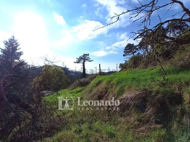 Casa in vendita a Vallone, Camaiore