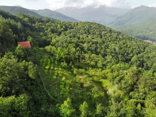 Casa in vendita a Piemonte, Cuneo